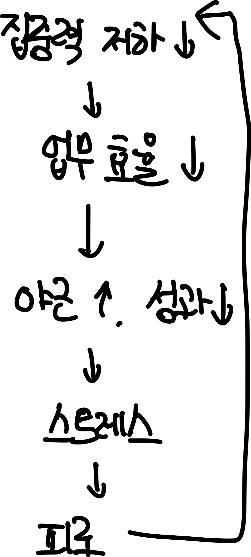 image-20250215114857725